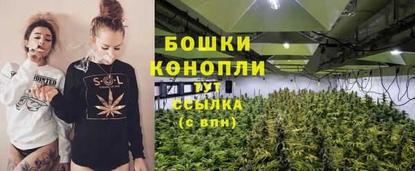 spice Лиски