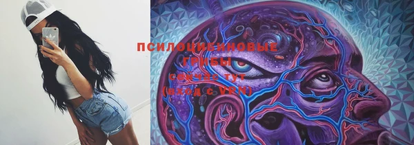 spice Лиски