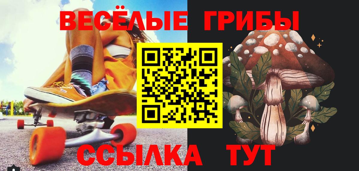 Галлюциногенные грибы Psilocybine cubensis  Вход с VPN  купить наркотик  Псилоцибиновые грибы MAGIC MUSHROOMS  Мичуринск 
