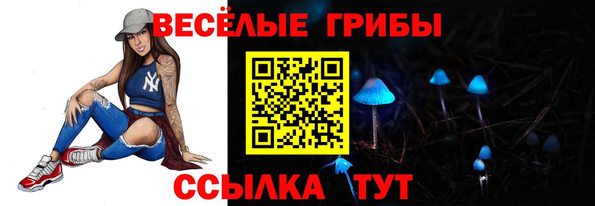 Псилоцибиновые грибы GOLDEN TEACHER Мичуринск